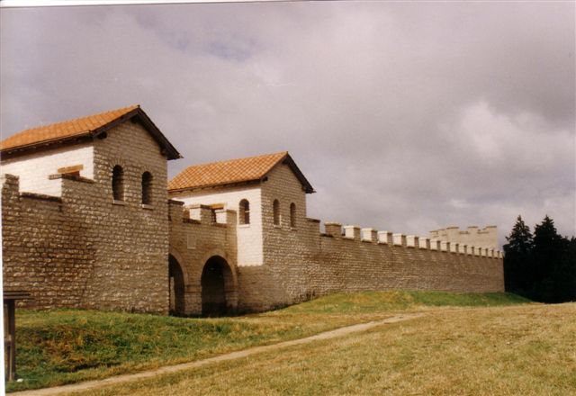 1995 Pfuenz 1